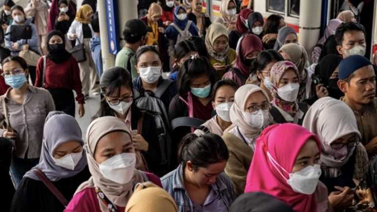 Search image article