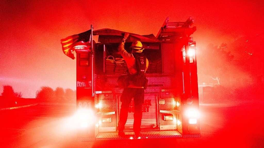 Search image article