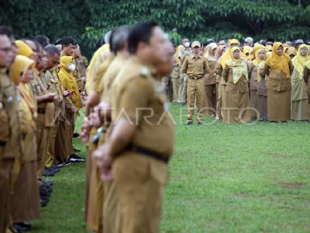 Search image article