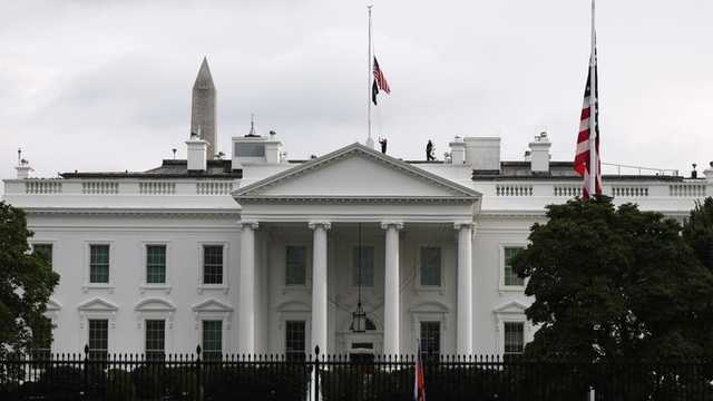 Search image article