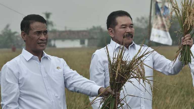 Mentan Amran Sulaiman Pastikan Indonesia Tak Impor Beras Hingga Akhir 2025, Stok Capai 4 Juta Ton!