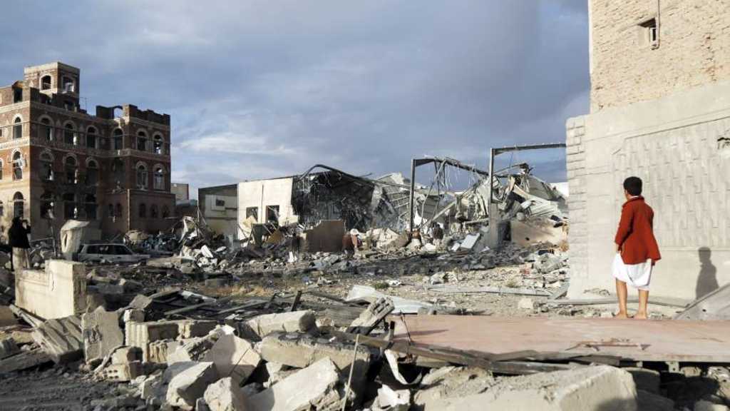 Search image article