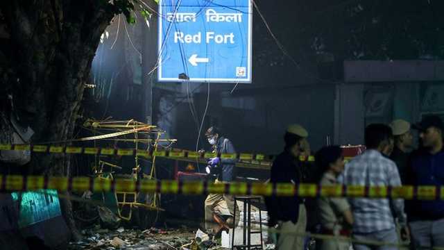 Search image article