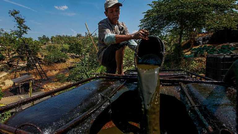 Search image article