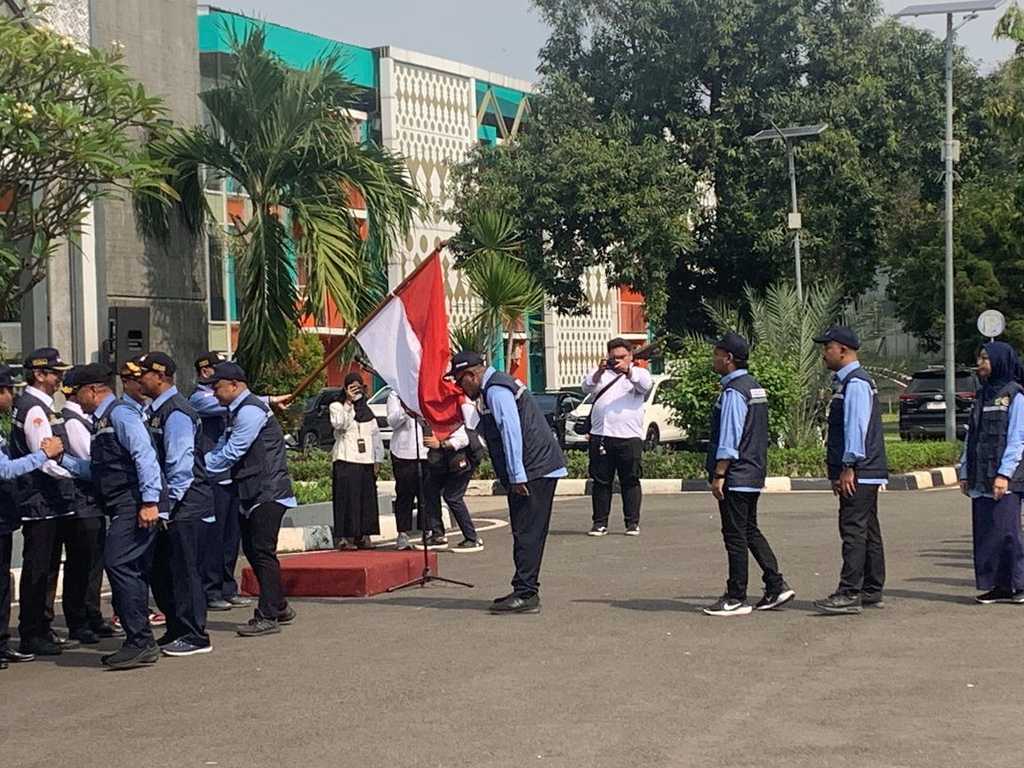 Search image article