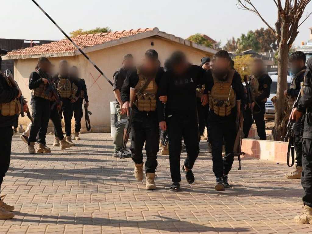 Search image article