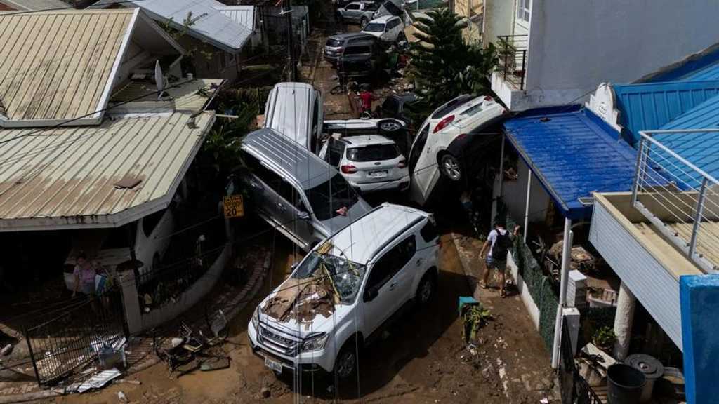 Search image article