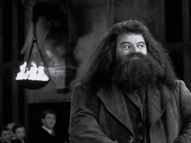 Sutradara Harry Potter Asli Bingung Hagrid Reboot "Terlalu Copy-Paste"