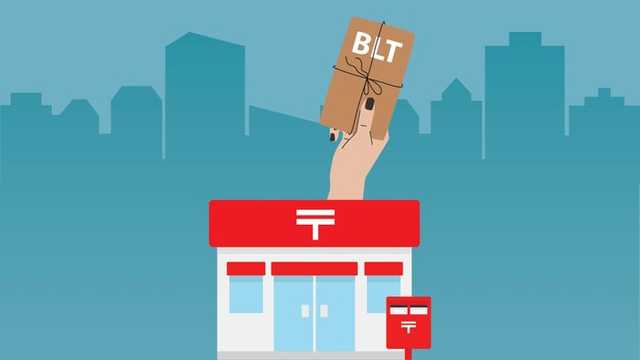 Search image article