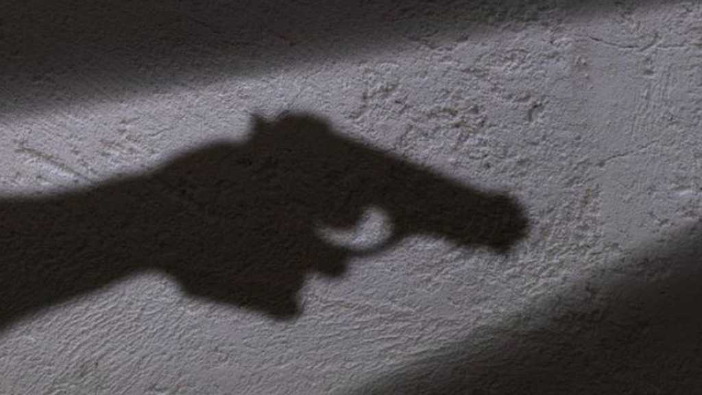 Search image article