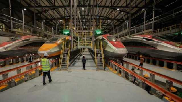 Search image article