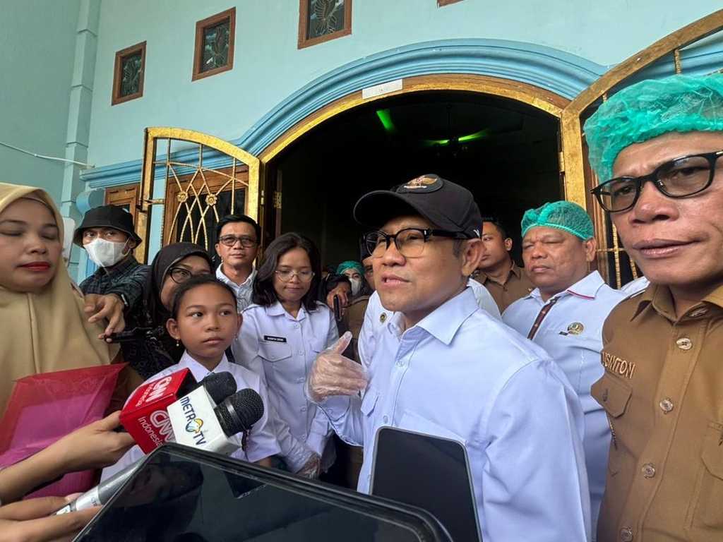 Search image article