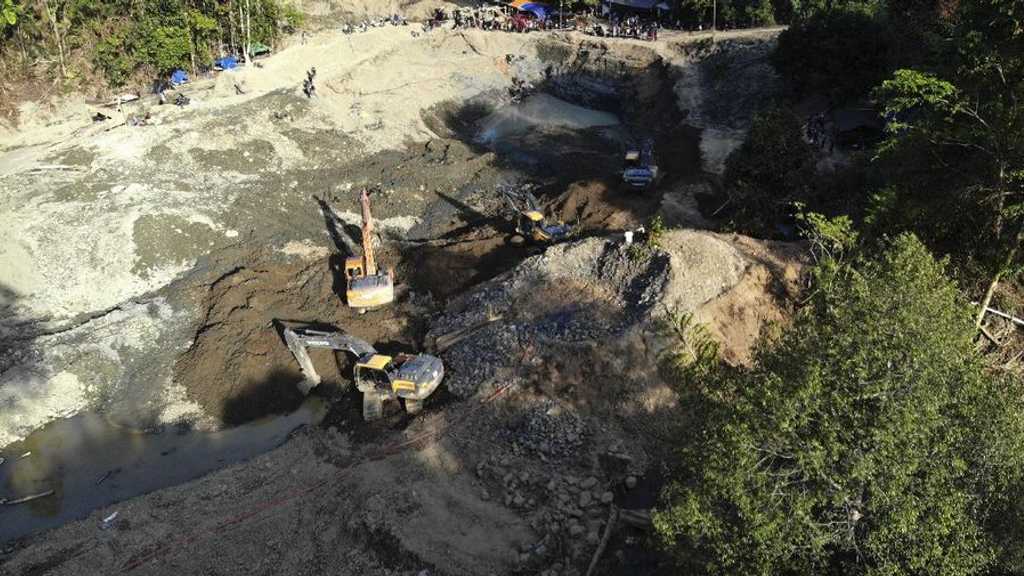 Search image article