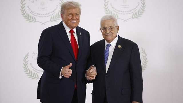 Search image article