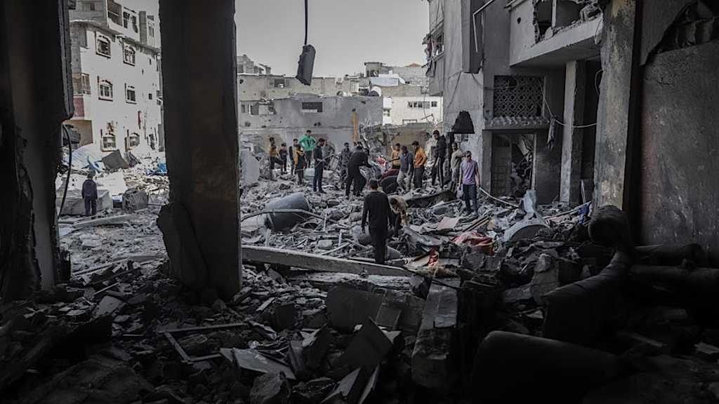 Search image article