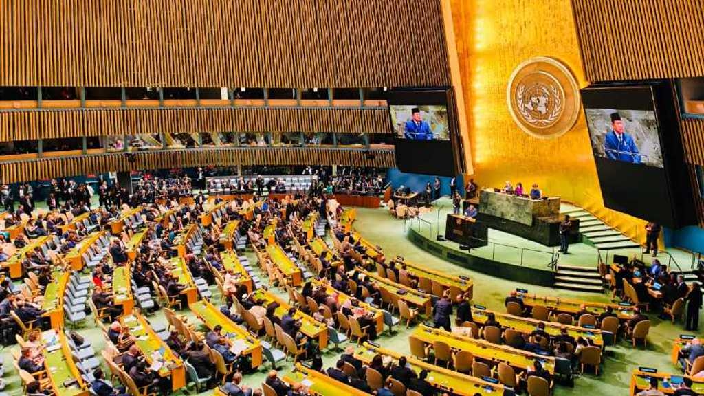 Search image article