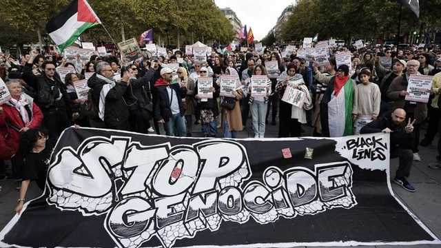 Search image article