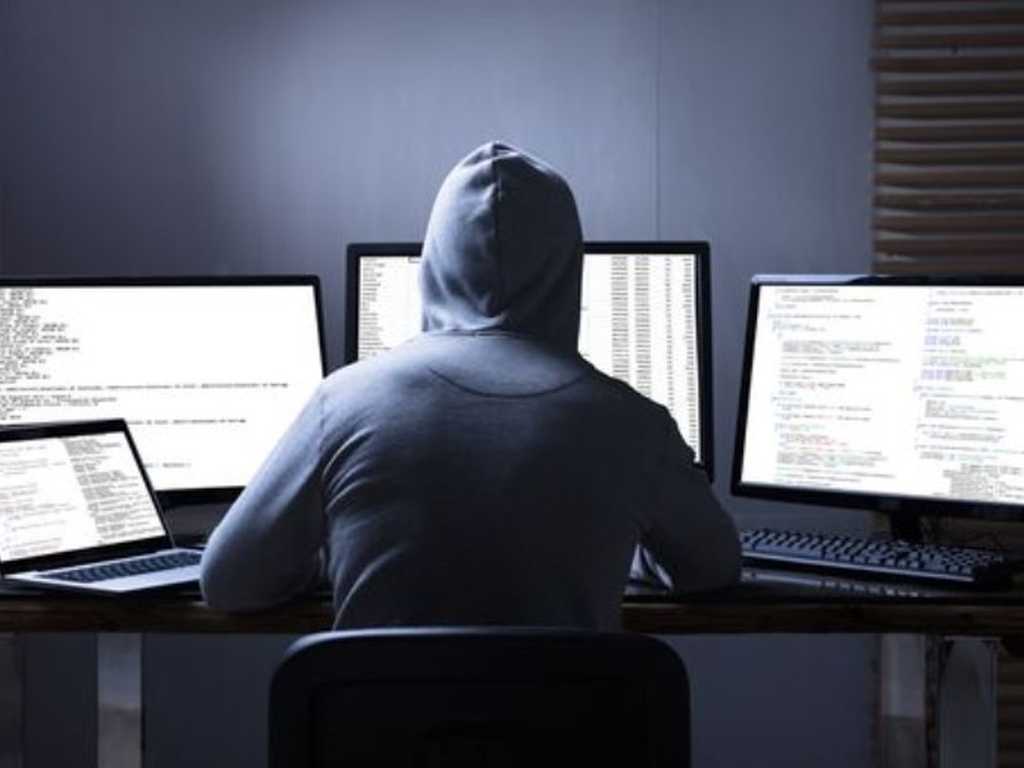 Search image article