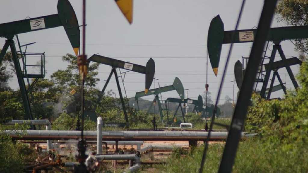 Search image article