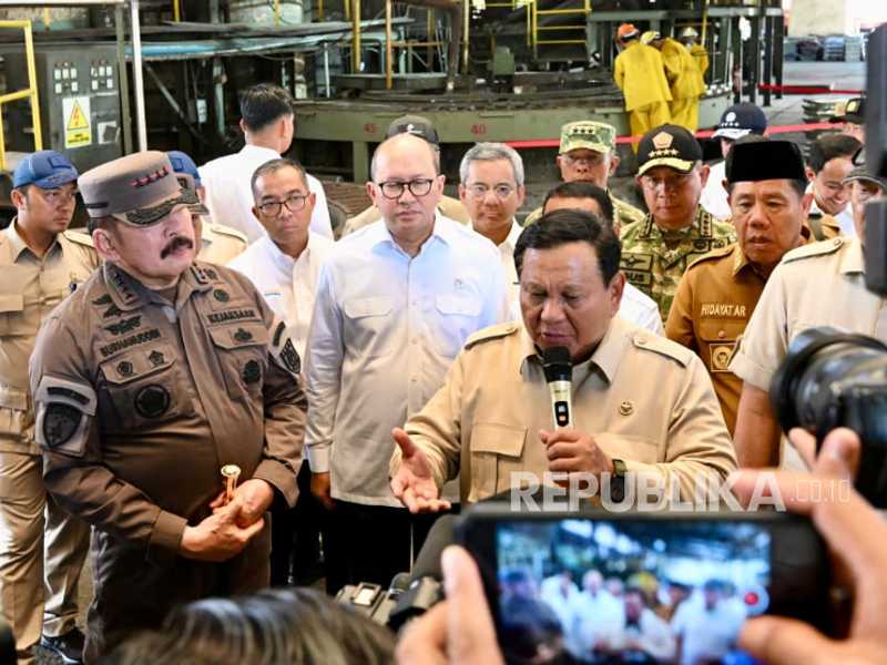 Search image article