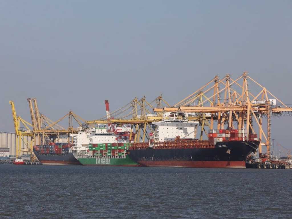 Search image article