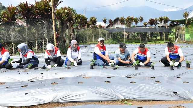 Search image article