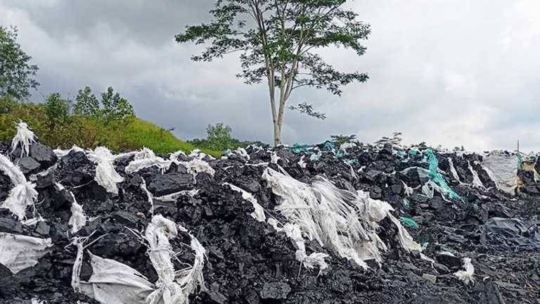 Polisi Tindak Tambang Ilegal di IKN, 300 Hektare Tahura Bukit Soeharto Rusak
