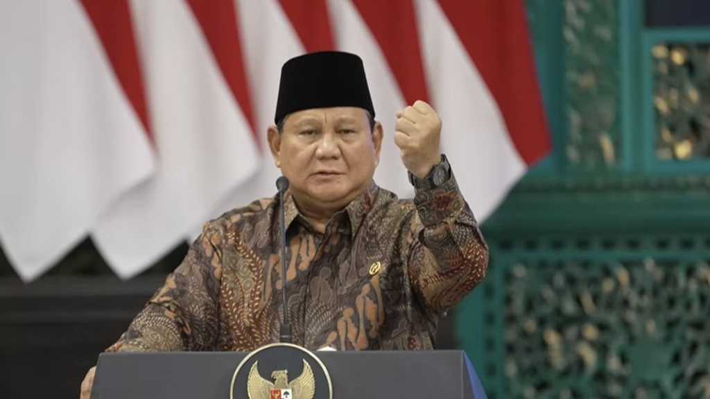 Search image article