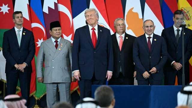 Search image article