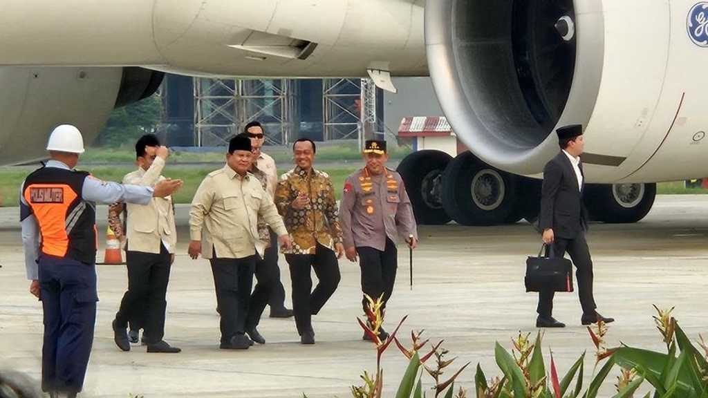 Search image article