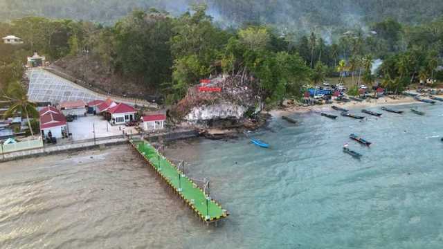 Search image article