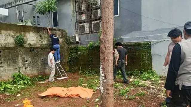 Search image article