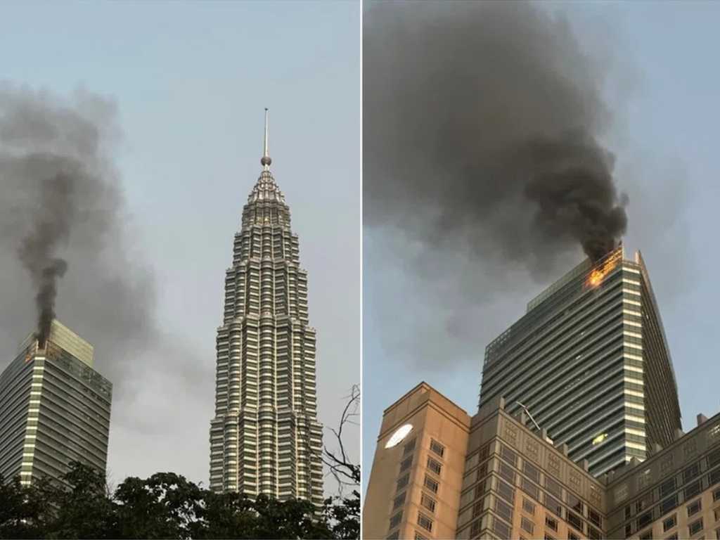 Search image article