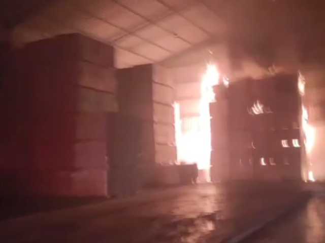 Search image article