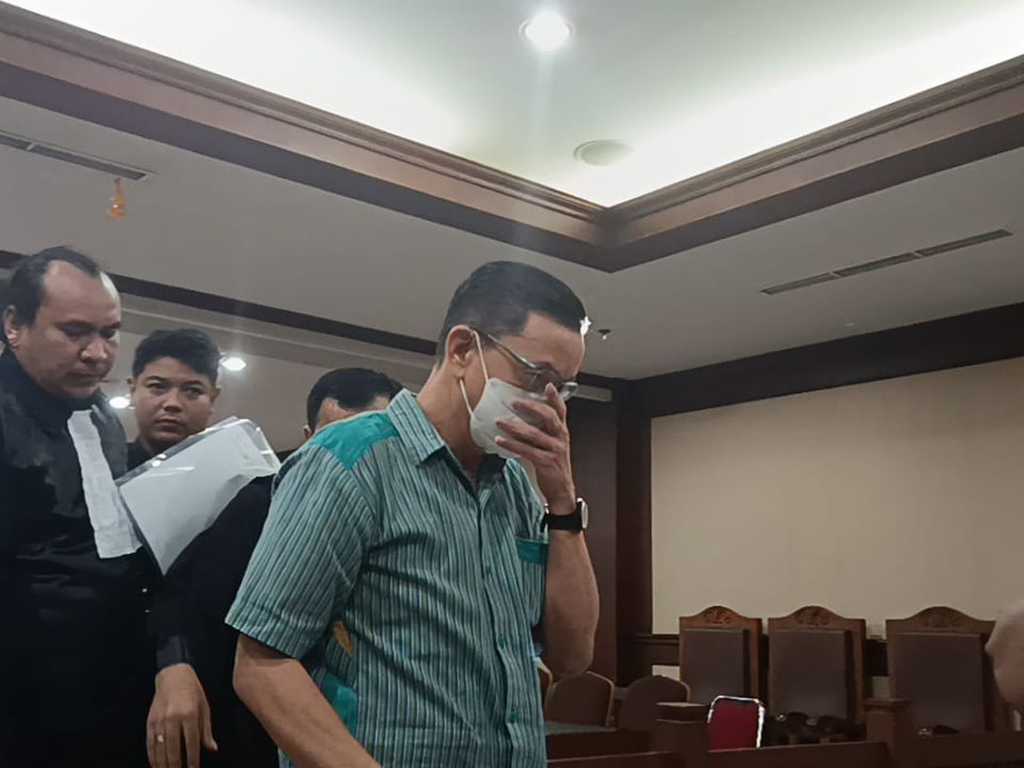 Search image article