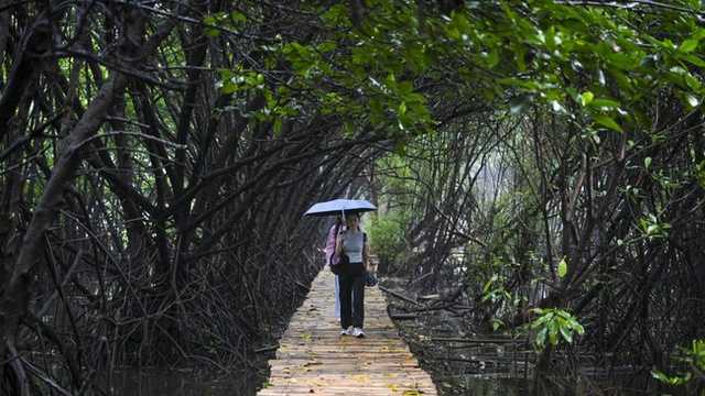 Suhu Bumi Makin Panas, Dampak Perubahan Iklim Terasa Setiap Hari