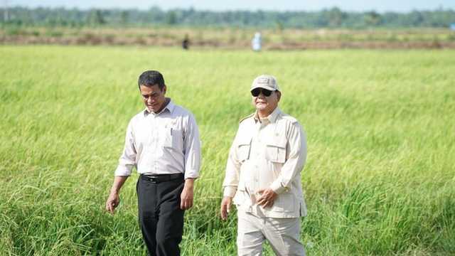 Pemerintah siapkan Rp10 triliun untuk hilirisasi perkebunan