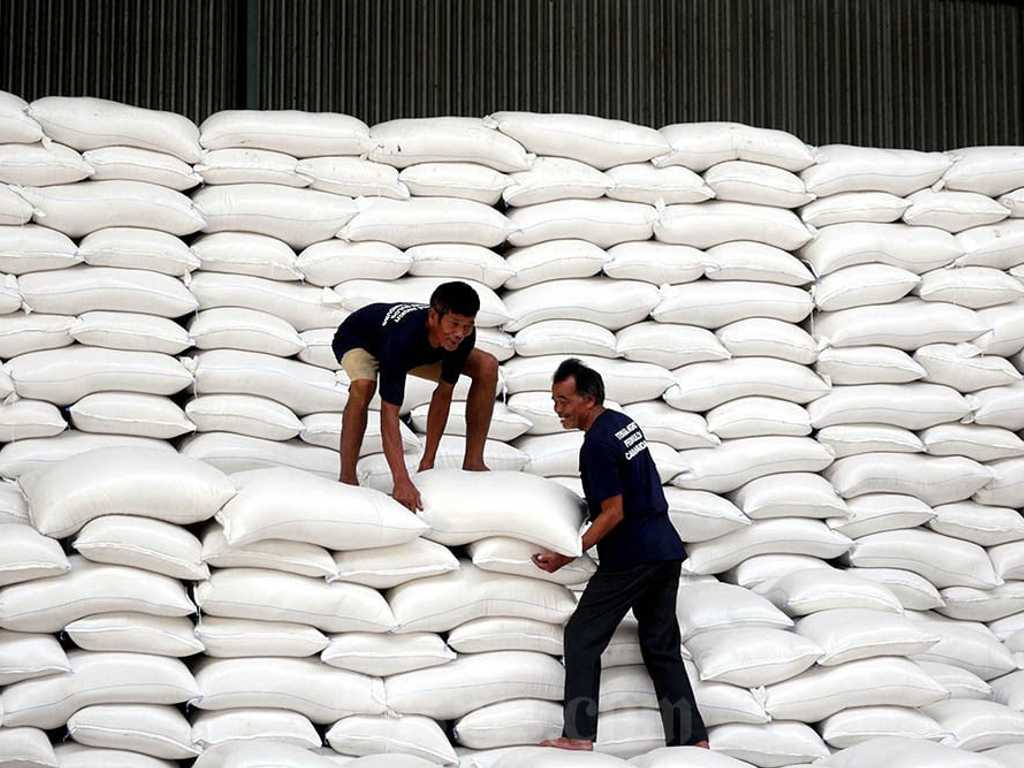 300.000 Ton Beras Bulog Terancam Rusak, Pengamat Bongkar Biang Keroknya