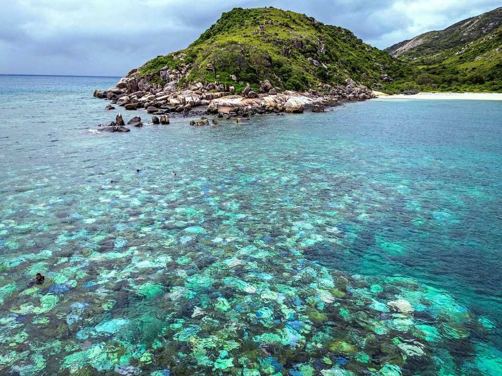 Nenek 80 Tahun Tewas Tertinggal Kapal Pesiar di Great Barrier Reef
