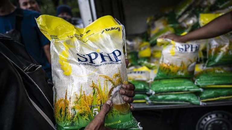 Search image article