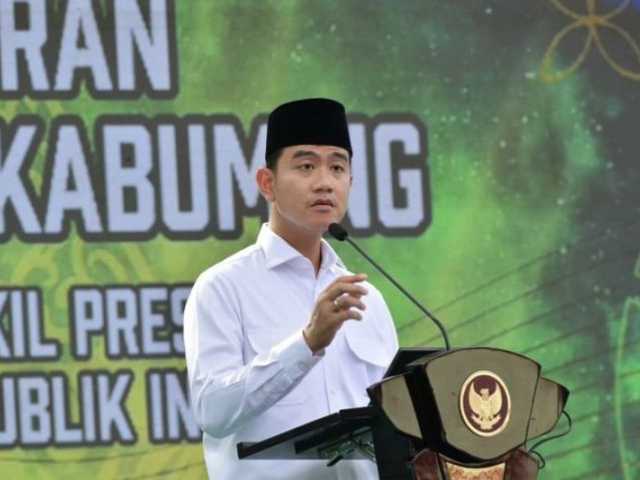 Search image article