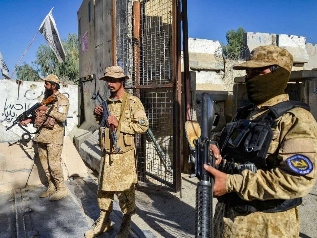 Search image article