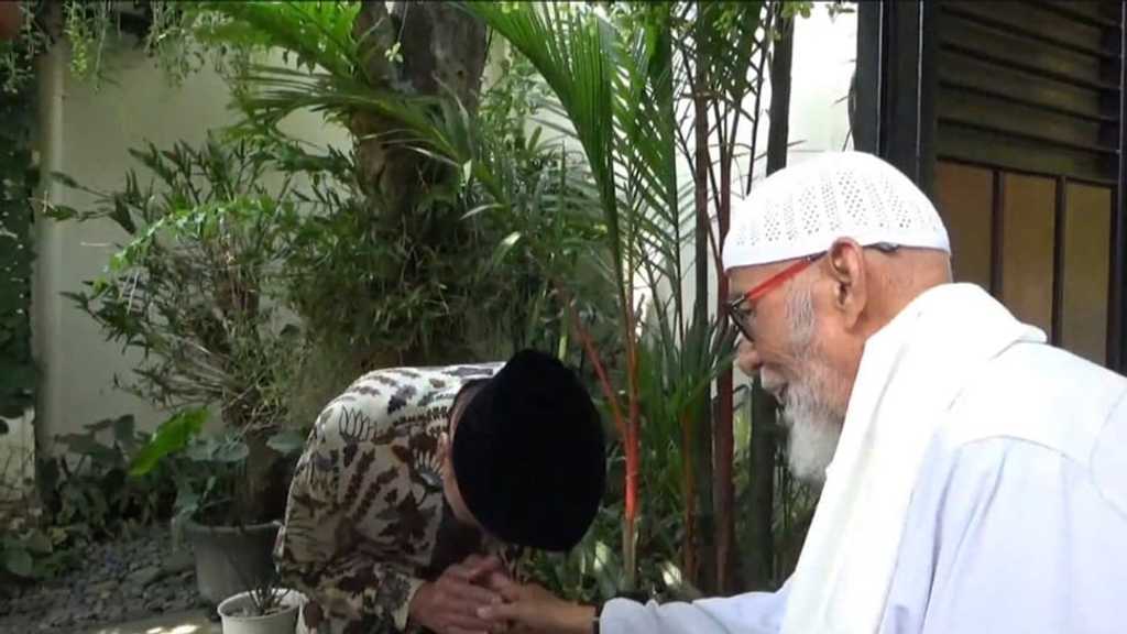 Search image article