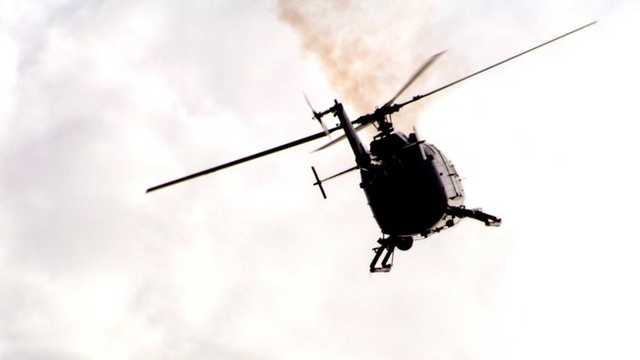 Search image article