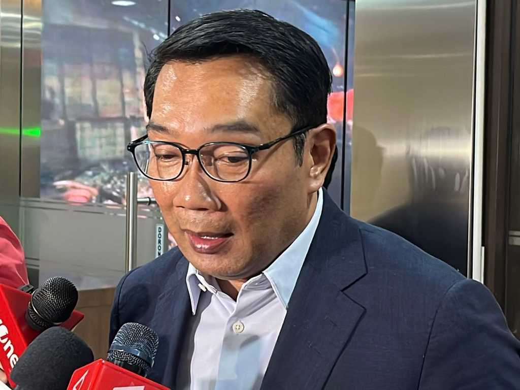 Search image article