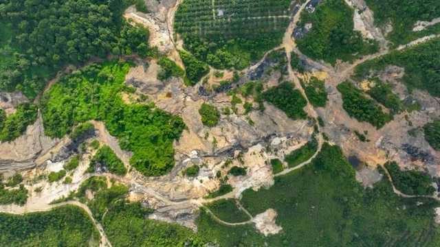 Search image article