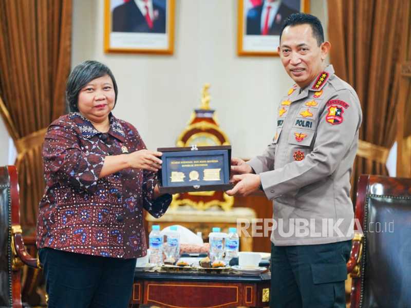 Search image article