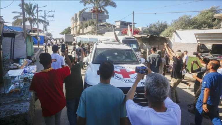 Search image article