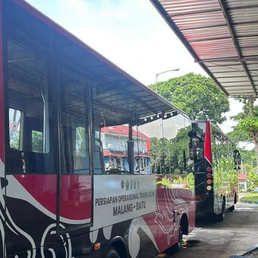 Search image article