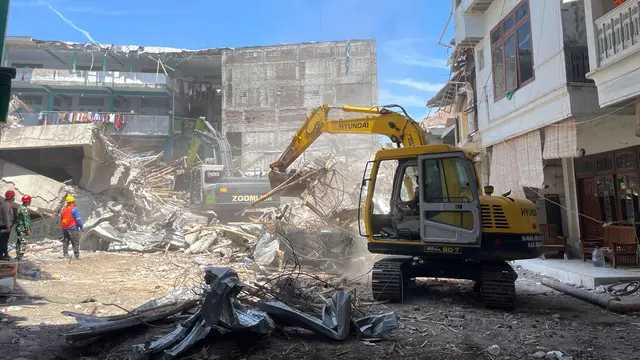 Search image article